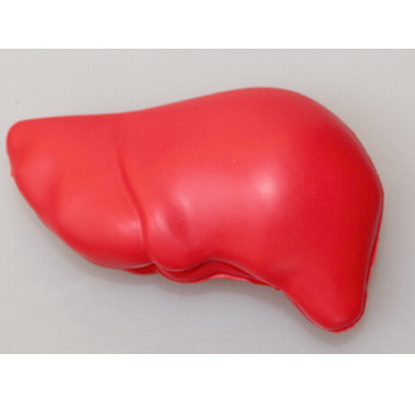 Liver Shape Promotional Stress Relievers Squeeze Toys For Hospital Donation Patient Gifts